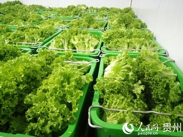 ˴ξ߲ٛҪ_˺㹽Ƥ 