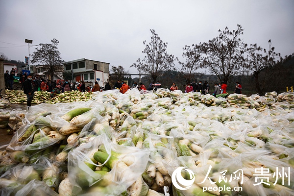 210FݾGlSմȺˮ}b Ӗ z