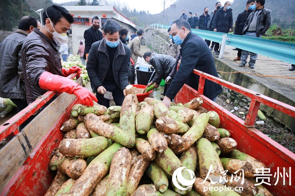 210SմȺ\ˮ}ϴӖ z