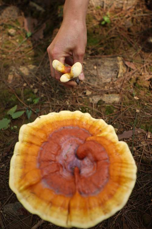 66Fʡǭ|嶱ݵկhȪֵ׵طؚwc`ֲ֥wfףڽo`֥