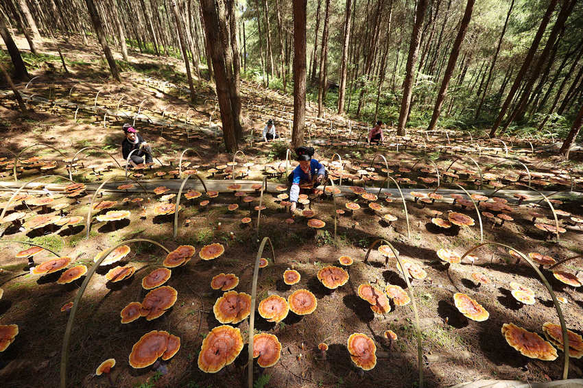 66Fʡǭ|嶱ݵկhȪֵ׵طؚwc`ֲ֥wڹo`֥