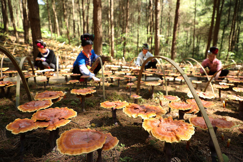 66Fʡǭ|嶱ݵկhȪֵ׵طؚwc`ֲ֥wڹo`֥