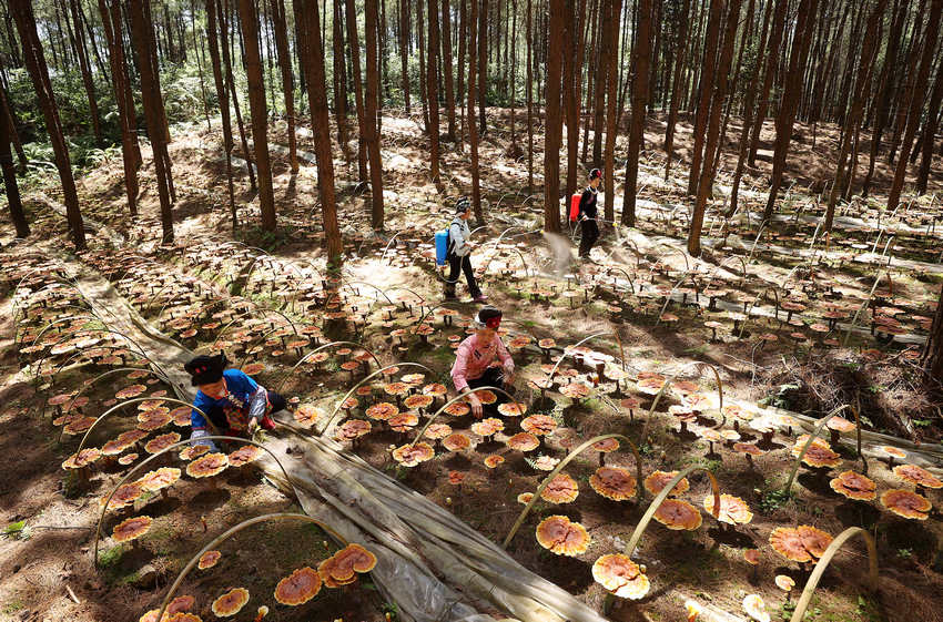 66Fʡǭ|嶱ݵկhȪֵ׵طؚwc`ֲ֥wڹo`֥