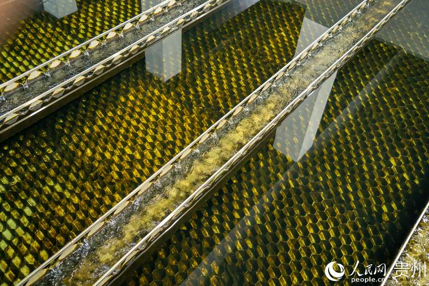 F^ɽˮSȵˮW Ϳz