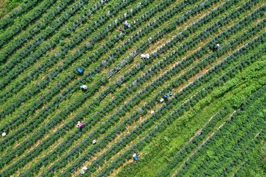 76FʡկhȪֵNֲڲժ