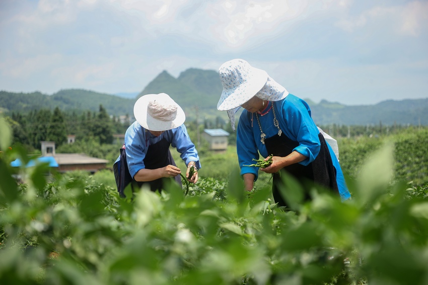 76FʡկhȪֵNֲڲժ