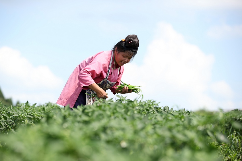 76FʡկhȪֵNֲڲժ