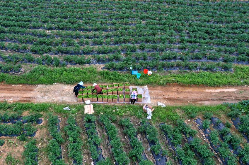 76FʡկhȪֵNֲڷb