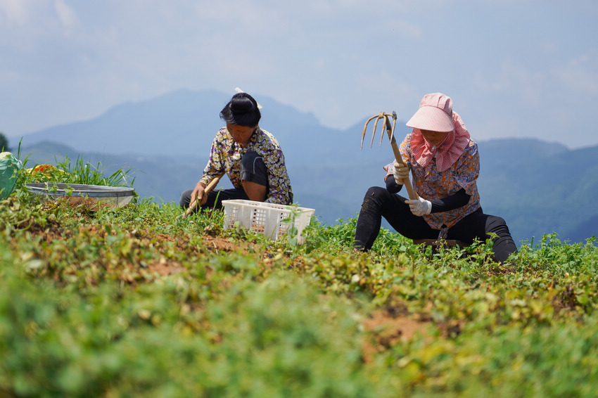 77FʡկhddʴˎķNֲز̫Ӆ