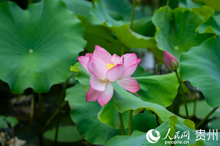 Fаƅ^Rɽ羰^ʢ_ĺɻW Ϳz