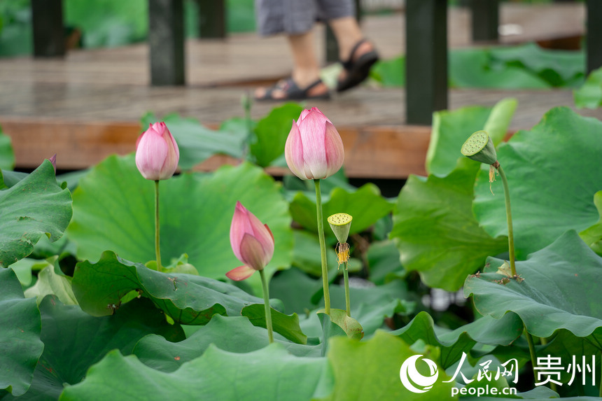 Fаƅ^Rɽ羰^ʢ_ĺɻW Ϳz