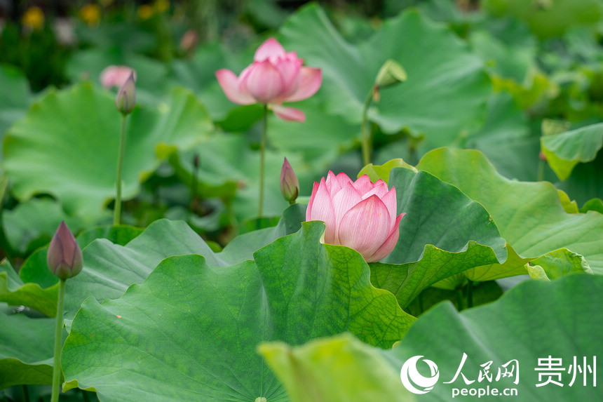 Fаƅ^Rɽ羰^ʢ_ĺɻW Ϳz