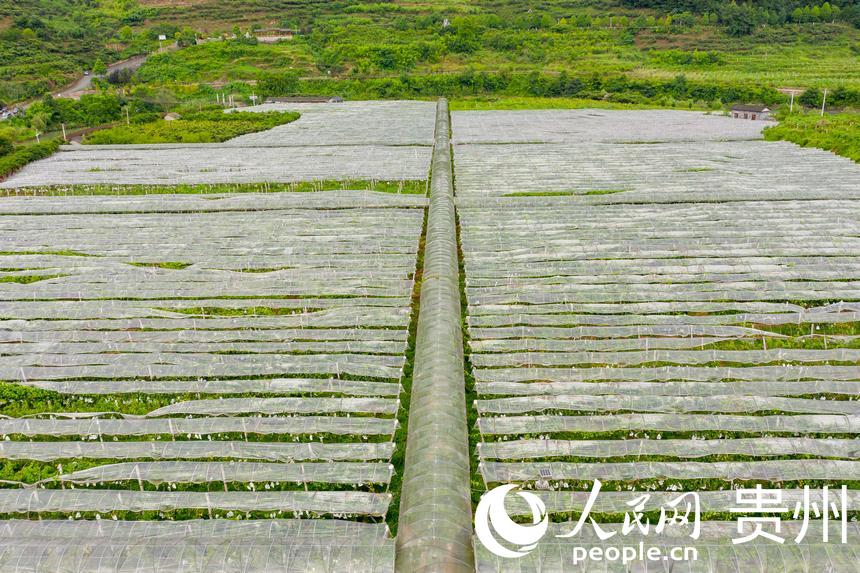 _ꖿhSlRrʳѲժ^@W Ϳz