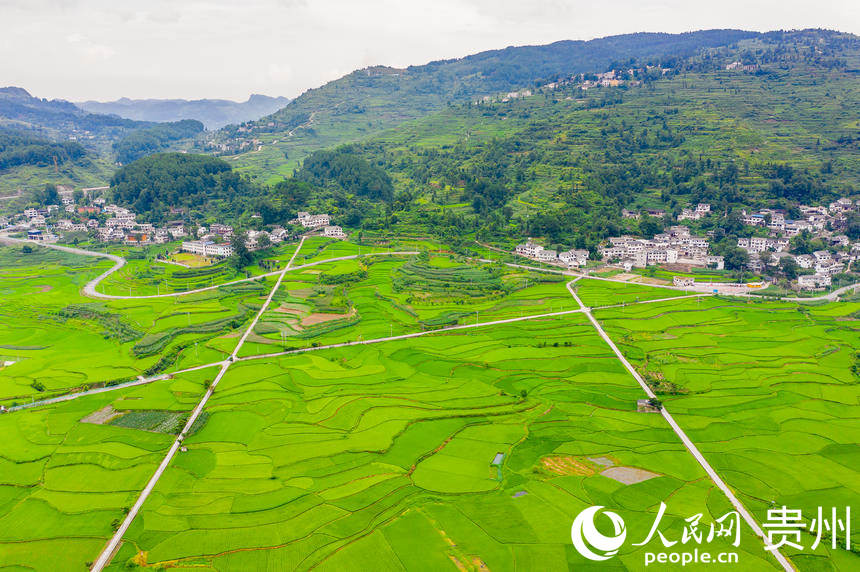 ĪqGɫ̺ĉ΅^W Ϳz