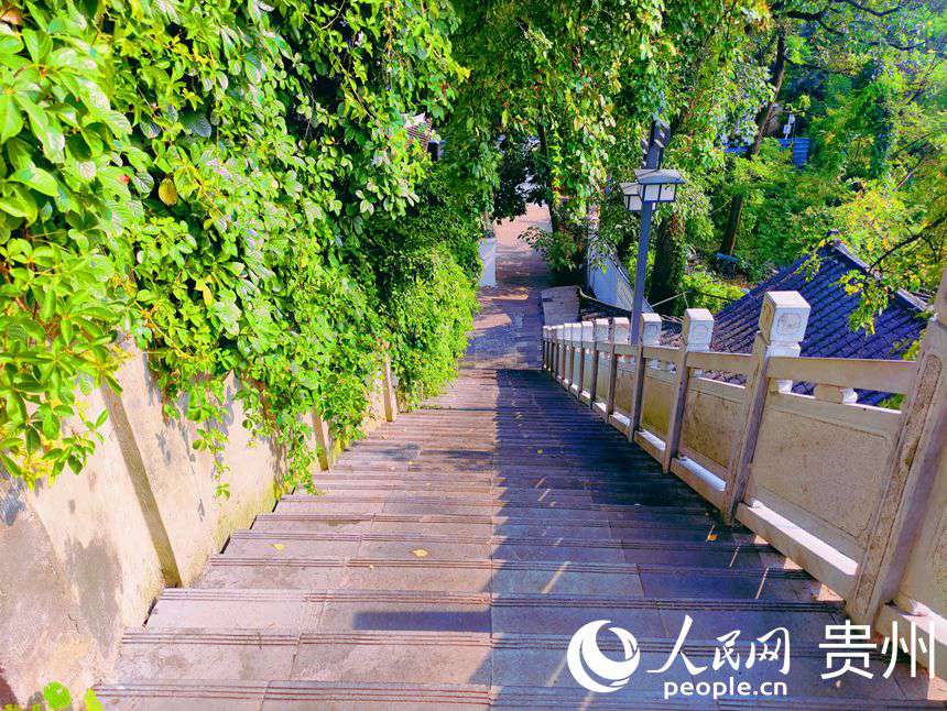 ꖹС·ڰӳȤW ƽܔz