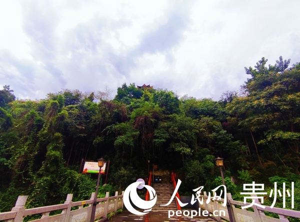 w@ֲï[[W ƽܔz