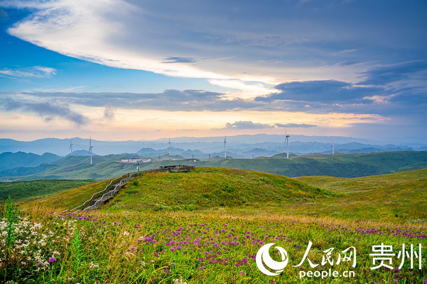 ϼеľ²ƺW Ϳz