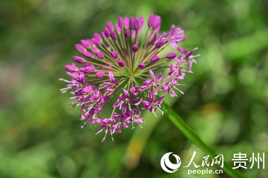 ֵʢڵľ²˻W Ϳz