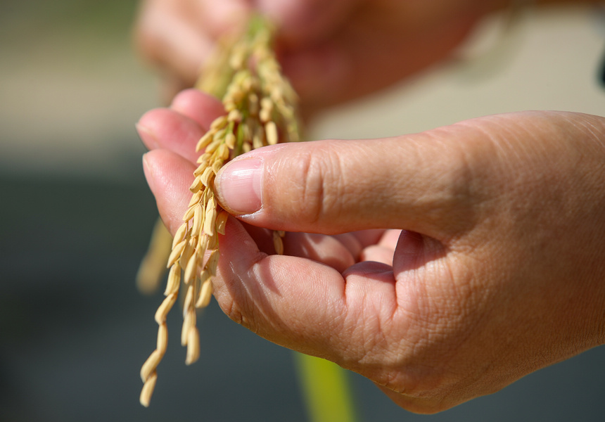 2021929Fʡοhµ悶ƺrˆTMМyaʌWz