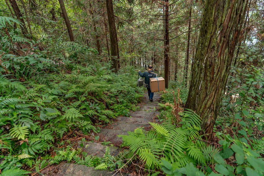 ֲǰ݆ɴa^݆^W Ϳz