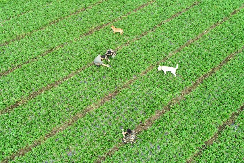 115FʡկhȪRկ²˸Nֲ֣һ̈́Iڲ鿴²˸Lݣo˙CƬ