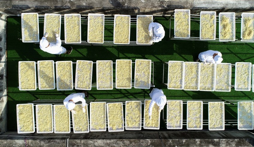 115FʡկhȪRկϪ־²˸ӹS֣͹²˸o˙CƬ