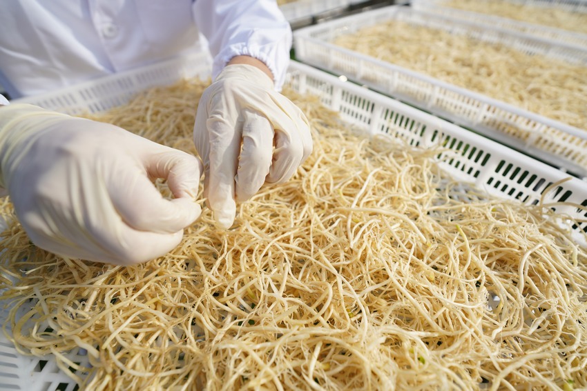 115FʡկhȪRկϪ־²˸ӹS²˸