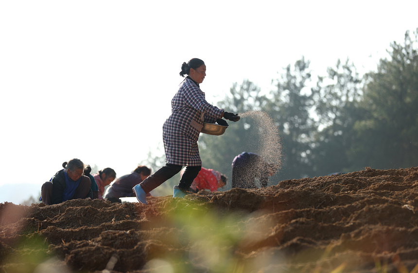 1118Fʡկhd悼_̫ӅNֲʩ