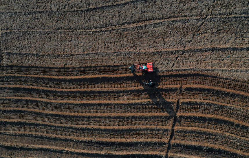 1118Fʡկhd悼_أo˙CƬ