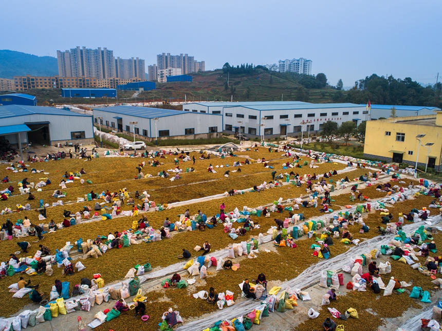 h׵cԴͲӹS^ڒxͲ