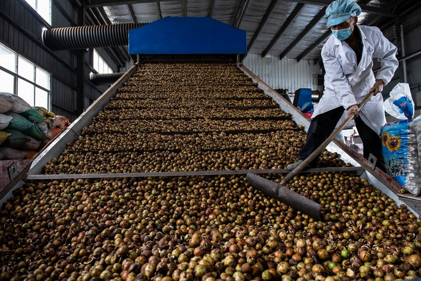 h׵cdͲӹSںͲ 