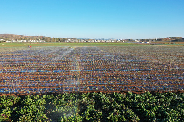 20201119οhݺк^߲˻؇ιFz FʡˮdD