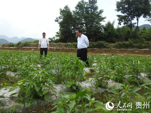 新蒲何忠義：躬耕三臺“美如畫” 0集體經濟變700萬元7月1日，貴州省2020年脫貧攻堅“七一”表彰大會，遵義市新蒲新區蝦子鎮三臺村黨組織書記何忠義作為全省優秀先進黨組織書記被表彰……