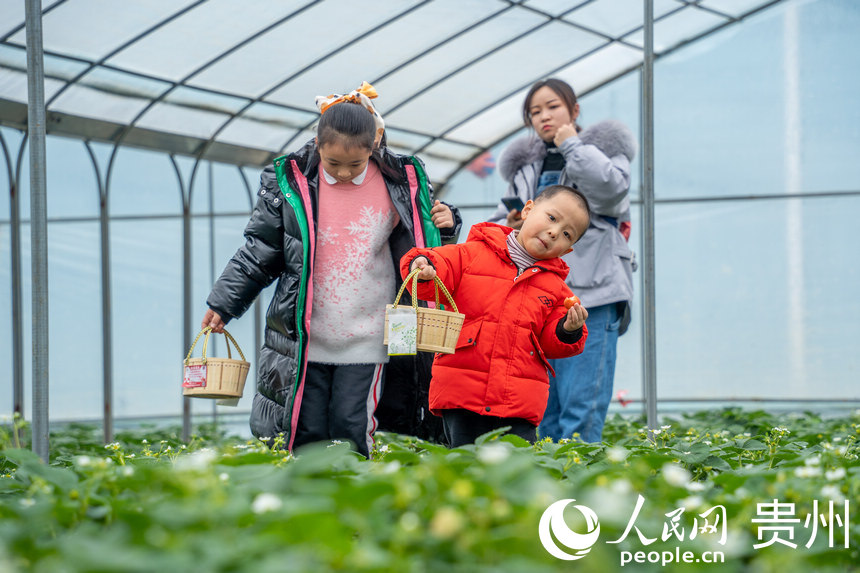 οڲժ^@ƷLrݮW Ϳz