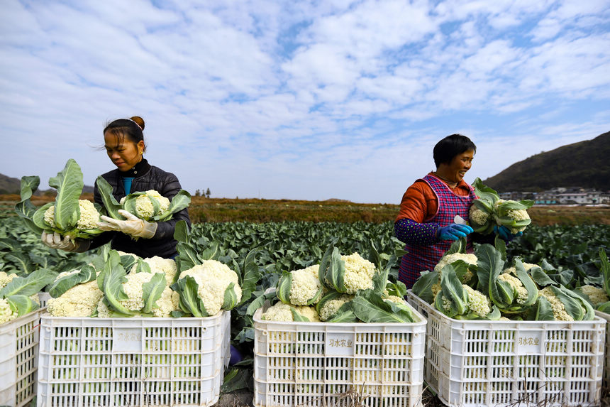 1217Fʡˮοh@߲˷Nֲطb