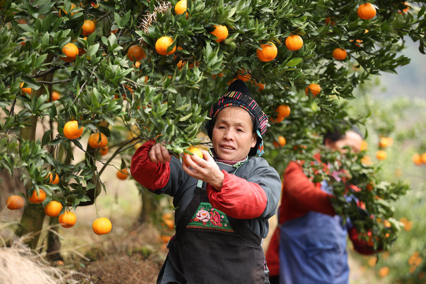 1220Fʡկh{悷ٴո̷Nֲի@ո    