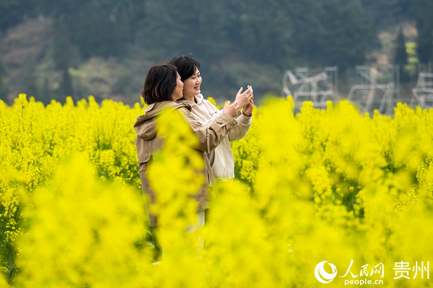 ĽοFhѩɽͲ˻W Ϳz