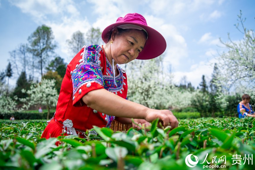 ɫĲrڲ@ɲW Ϳz