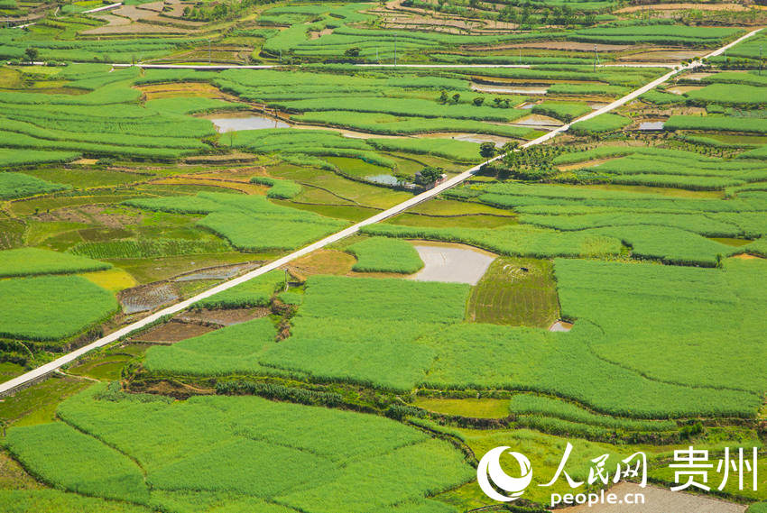 ʮﮋȾɫqȻ{ɫPW z