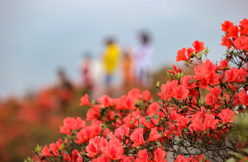 423οFʡǭ|嶱ݵկhȪɽ^pN 