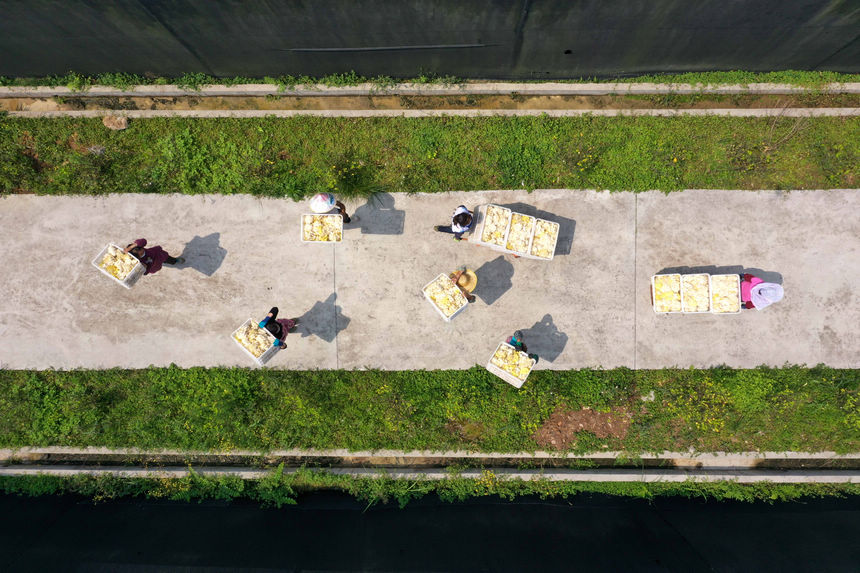 428_hĭѴʳþNֲذ\So˙CƬ