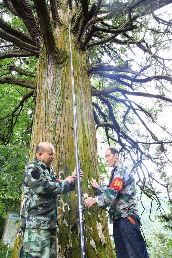 λڄӿhhxġɼľǲBz