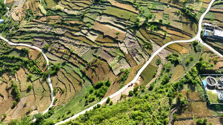 Fʡ󷽿hLʯ悗^BƬ ӖFz