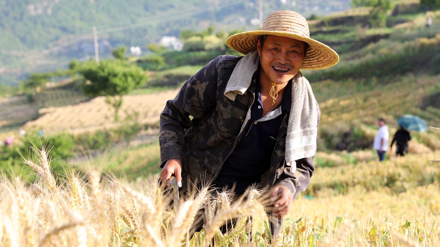 Fʡ󷽿hLʯ悗^ոСz