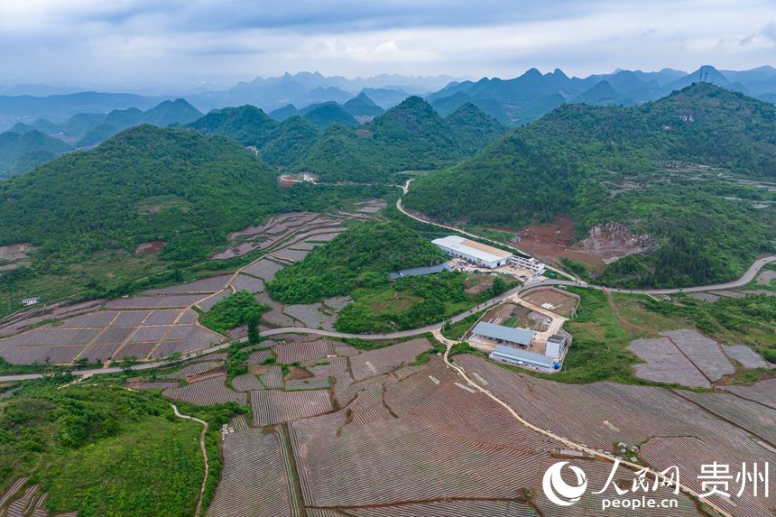 ɽеİG悲״rW Ϳz