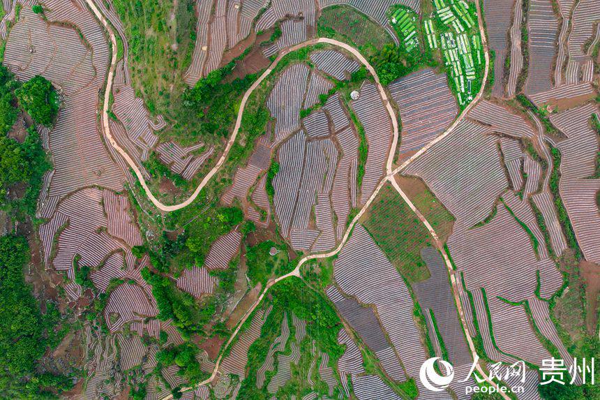 wĤr[ش¸ܴaW Ϳz