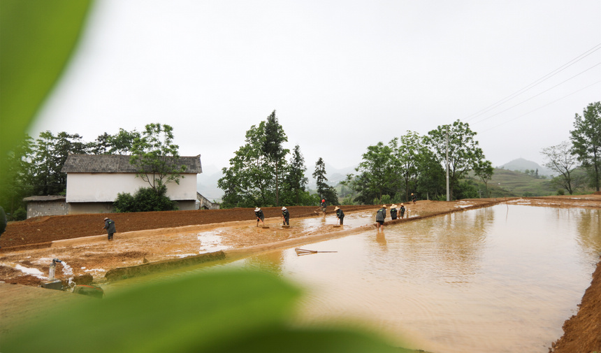 Fʡ󷽿hRɳȺMƽ˾z