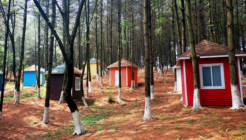 65Fʡ󷽿hͯԒPcgСFsz