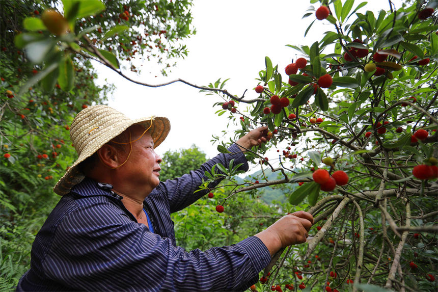 ڄӿhȪrժ÷ЈfĽܔz