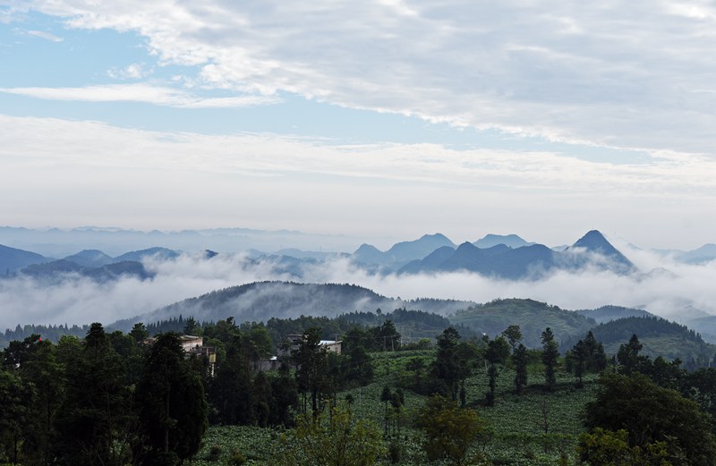 2022628峿FʡǭFʯl\һƬF֮qһˮī܊fz